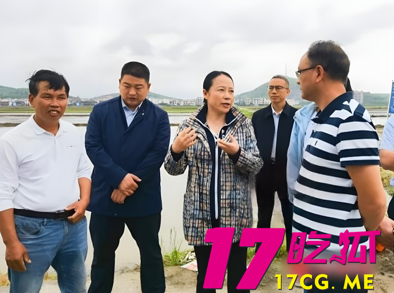 DM_20260211060705_012_副本.png DM_20260211060705_012_副本.png